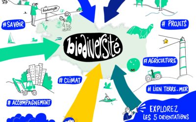 Plan d’actions de l’Agence Bretonne de la Biodiversité